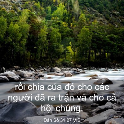 Picture 03 - Dân Số 31:27 VIE - rồi chia của đó cho các người đã ra - Bible Verse Picture