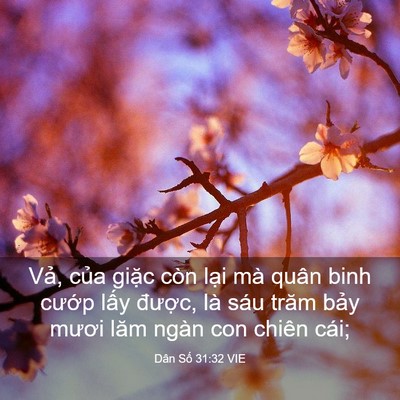 Picture 03 - Dân Số 31:32 VIE - Vả, của giặc còn lại mà quân binh - Bible Verse Picture