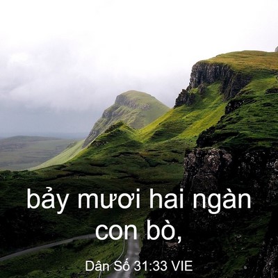 Picture 03 - Dân Số 31:33 VIE - bảy mươi hai ngàn con - Bible Verse Picture