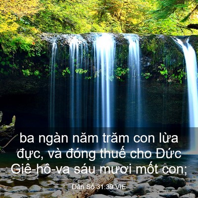 Picture 03 - Dân Số 31:39 VIE - ba ngàn năm trăm con lừa đực, và đóng - Bible Verse Picture