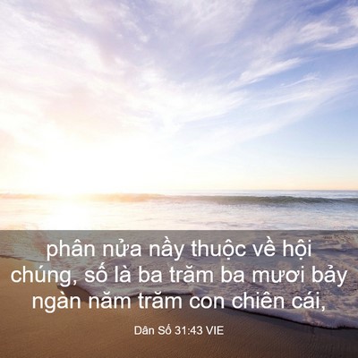 Picture 03 - Dân Số 31:43 VIE - phân nửa nầy thuộc về hội chúng, số - Bible Verse Picture