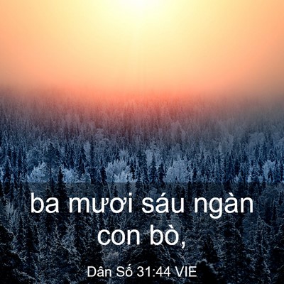 Picture 03 - Dân Số 31:44 VIE - ba mươi sáu ngàn con - Bible Verse Picture