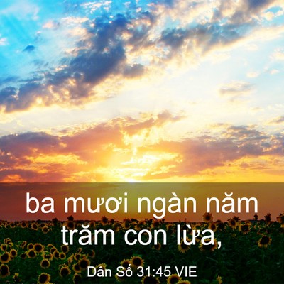 Picture 03 - Dân Số 31:45 VIE - ba mươi ngàn năm trăm con - Bible Verse Picture