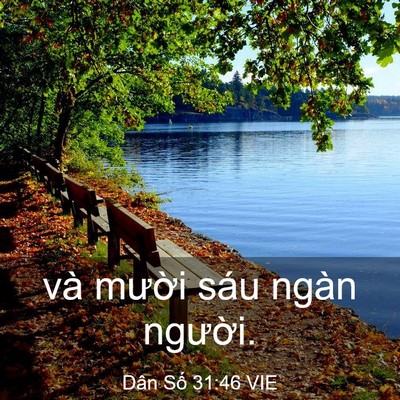 Picture 03 - Dân Số 31:46 VIE - và mười sáu ngàn - Bible Verse Picture
