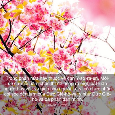 Picture 03 - Dân Số 31:47 VIE - Trong phân nửa nầy thuộc về dân - Bible Verse Picture