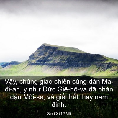 Picture 03 - Dân Số 31:7 VIE - Vậy, chúng giao chiến cùng dân Ma-đi-an, - Bible Verse Picture