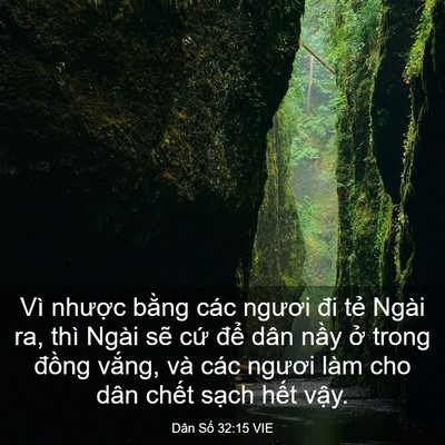 Picture 03 - Dân Số 32:15 VIE - Vì nhược bằng các ngươi đi tẻ Ngài - Bible Verse Picture
