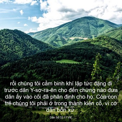 Picture 03 - Dân Số 32:17 VIE - rồi chúng tôi cầm binh khí lập tức - Bible Verse Picture