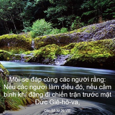 Picture 03 - Dân Số 32:20 VIE - Môi-se đáp cùng các người rằng: Nếu - Bible Verse Picture