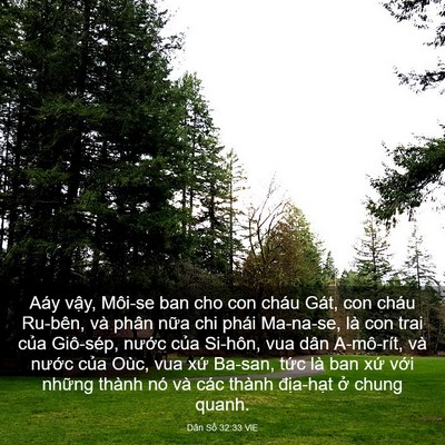 Picture 03 - Dân Số 32:33 VIE - Aáy vậy, Môi-se ban cho con cháu Gát, con - Bible Verse Picture
