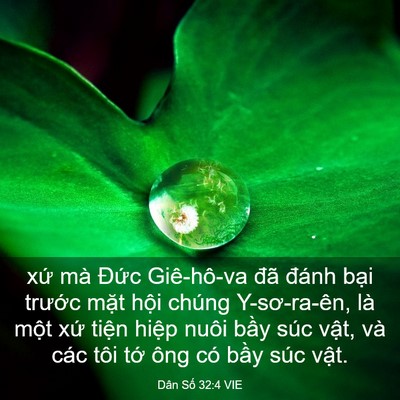 Picture 03 - Dân Số 32:4 VIE - xứ mà Đức Giê-hô-va đã đánh bại - Bible Verse Picture