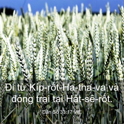 Picture 03 - Dân Số 33:17 VIE - Đi từ Kíp-rốt-Ha-tha-va và đóng trại - Bible Verse Picture