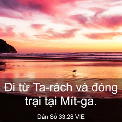 Picture 03 - Dân Số 33:28 VIE - Đi từ Ta-rách và đóng trại tại - Bible Verse Picture