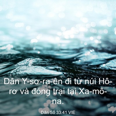 Picture 03 - Dân Số 33:41 VIE - Dân Y-sơ-ra-ên đi từ núi Hô-rơ và - Bible Verse Picture