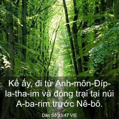 Picture 03 - Dân Số 33:47 VIE - Kế ấy, đi từ Anh-môn-Đíp-la-tha-im và - Bible Verse Picture
