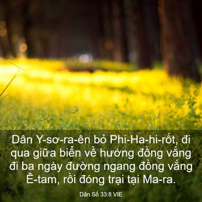 Picture 03 - Dân Số 33:8 VIE - Dân Y-sơ-ra-ên bỏ Phi-Ha-hi-rốt, đi qua - Bible Verse Picture