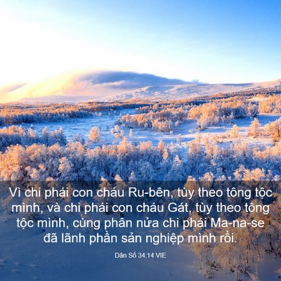 Picture 03 - Dân Số 34:14 VIE - Vì chi phái con cháu Ru-bên, tùy theo tông - Bible Verse Picture