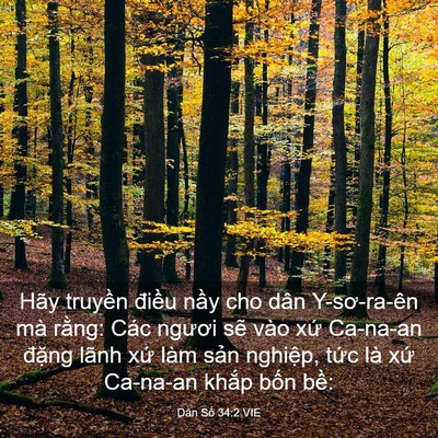 Picture 03 - Dân Số 34:2 VIE - Hãy truyền điều nầy cho dân Y-sơ-ra-ên - Bible Verse Picture
