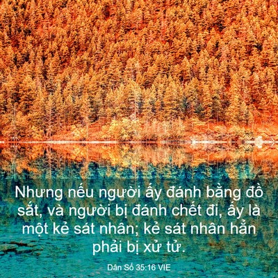 Picture 03 - Dân Số 35:16 VIE - Nhưng nếu người ấy đánh bằng đồ - Bible Verse Picture