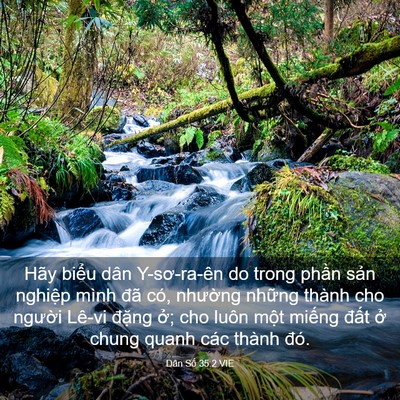 Picture 03 - Dân Số 35:2 VIE - Hãy biểu dân Y-sơ-ra-ên do trong phần - Bible Verse Picture