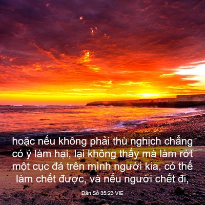Picture 03 - Dân Số 35:23 VIE - hoặc nếu không phải thù nghịch chẳng - Bible Verse Picture