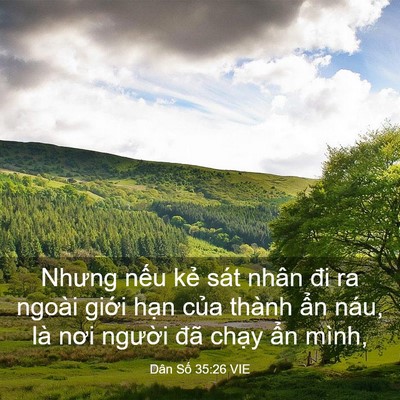 Picture 03 - Dân Số 35:26 VIE - Nhưng nếu kẻ sát nhân đi ra ngoài giới - Bible Verse Picture