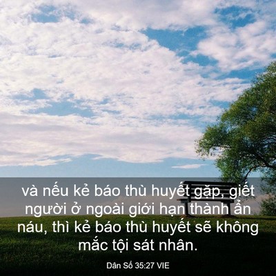 Picture 03 - Dân Số 35:27 VIE - và nếu kẻ báo thù huyết gặp, giết - Bible Verse Picture