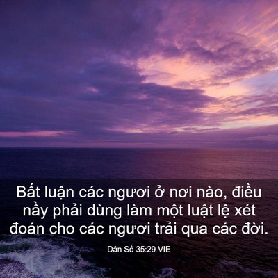 Picture 03 - Dân Số 35:29 VIE - Bất luận các ngươi ở nơi nào, điều - Bible Verse Picture