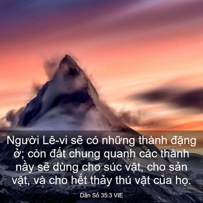 Picture 03 - Dân Số 35:3 VIE - Người Lê-vi sẽ có những thành đặng - Bible Verse Picture