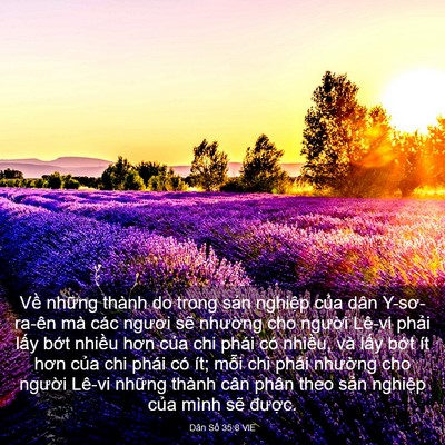 Picture 03 - Dân Số 35:8 VIE - Về những thành do trong sản nghiệp của - Bible Verse Picture