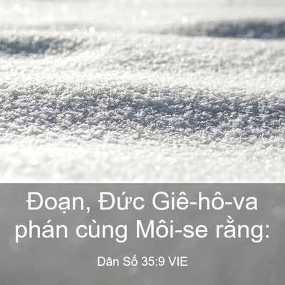 Picture 03 - Dân Số 35:9 VIE - Đoạn, Đức Giê-hô-va phán cùng Môi-se - Bible Verse Picture