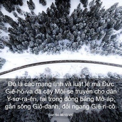 Picture 03 - Dân Số 36:13 VIE - Đó là các mạng lịnh và luật lệ mà - Bible Verse Picture