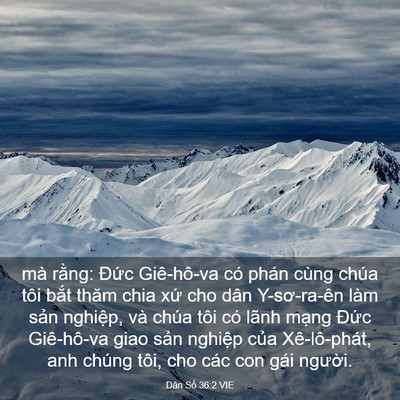 Picture 03 - Dân Số 36:2 VIE - mà rằng: Đức Giê-hô-va có phán cùng - Bible Verse Picture