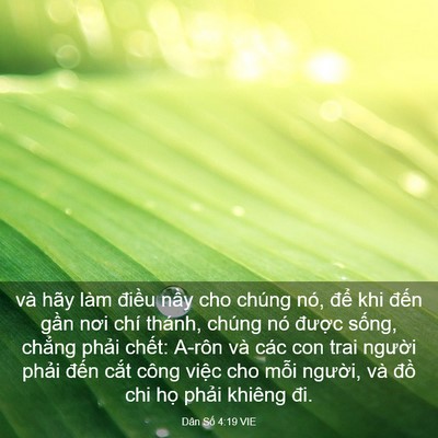 Picture 03 - Dân Số 4:19 VIE - và hãy làm điều nầy cho chúng nó, để - Bible Verse Picture