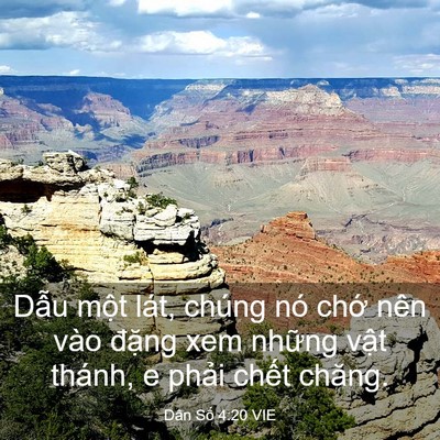 Picture 03 - Dân Số 4:20 VIE - Dẫu một lát, chúng nó chớ nên vào - Bible Verse Picture