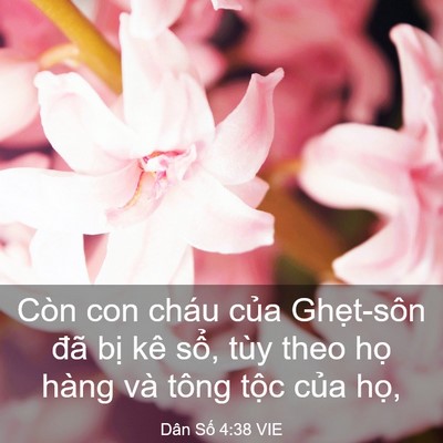 Picture 03 - Dân Số 4:38 VIE - Còn con cháu của Ghẹt-sôn đã bị kê - Bible Verse Picture