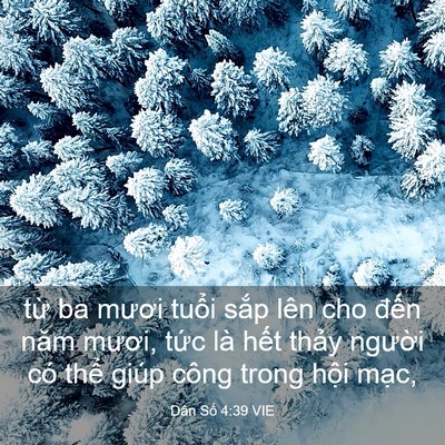 Picture 03 - Dân Số 4:39 VIE - từ ba mươi tuổi sắp lên cho đến năm - Bible Verse Picture