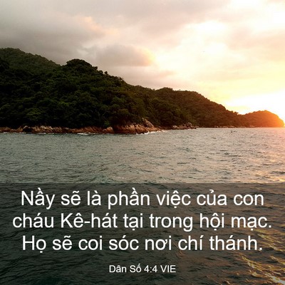 Picture 03 - Dân Số 4:4 VIE - Nầy sẽ là phần việc của con cháu - Bible Verse Picture
