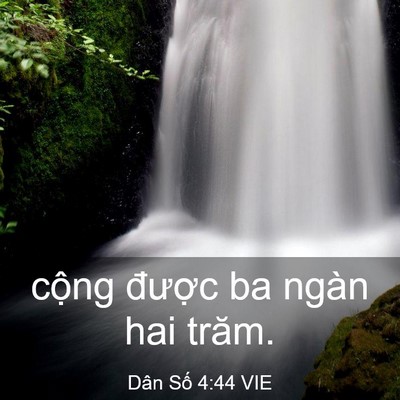 Picture 03 - Dân Số 4:44 VIE - cộng được ba ngàn hai - Bible Verse Picture