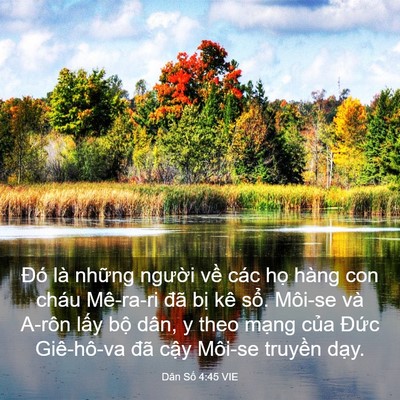 Picture 03 - Dân Số 4:45 VIE - Đó là những người về các họ hàng - Bible Verse Picture