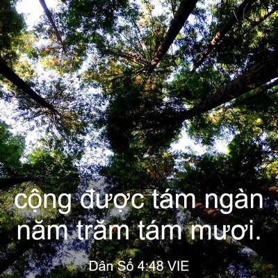 Picture 03 - Dân Số 4:48 VIE - cộng được tám ngàn năm trăm tám - Bible Verse Picture