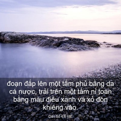Picture 03 - Dân Số 4:6 VIE - đoạn đắp lên một tấm phủ bằng da - Bible Verse Picture