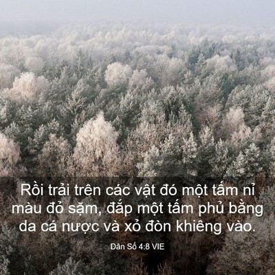 Picture 03 - Dân Số 4:8 VIE - Rồi trải trên các vật đó một tấm - Bible Verse Picture