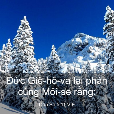 Picture 03 - Dân Số 5:11 VIE - Đức Giê-hô-va lại phán cùng Môi-se - Bible Verse Picture