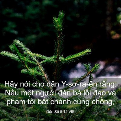 Picture 03 - Dân Số 5:12 VIE - Hãy nói cho dân Y-sơ-ra-ên rằng: Nếu - Bible Verse Picture