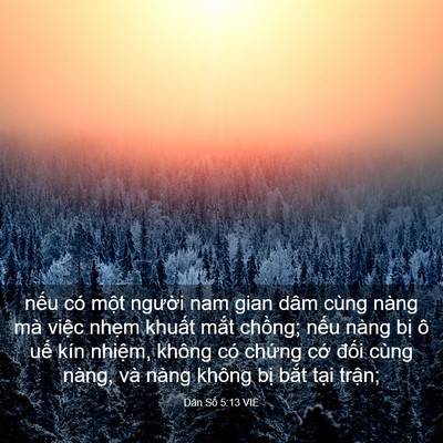 Picture 03 - Dân Số 5:13 VIE - nếu có một người nam gian dâm cùng - Bible Verse Picture