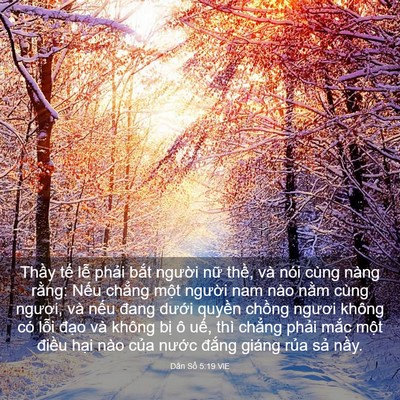 Picture 03 - Dân Số 5:19 VIE - Thầy tế lễ phải bắt người nữ - Bible Verse Picture