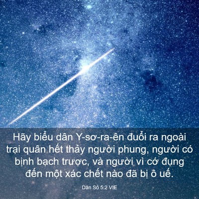 Picture 03 - Dân Số 5:2 VIE - Hãy biểu dân Y-sơ-ra-ên đuổi ra ngoài - Bible Verse Picture