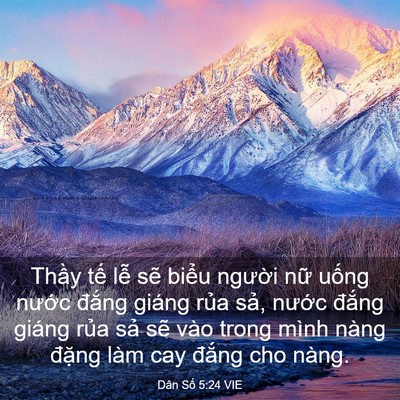 Picture 03 - Dân Số 5:24 VIE - Thầy tế lễ sẽ biểu người nữ uống - Bible Verse Picture