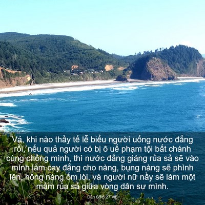 Picture 03 - Dân Số 5:27 VIE - Vả, khi nào thầy tế lễ biểu người - Bible Verse Picture